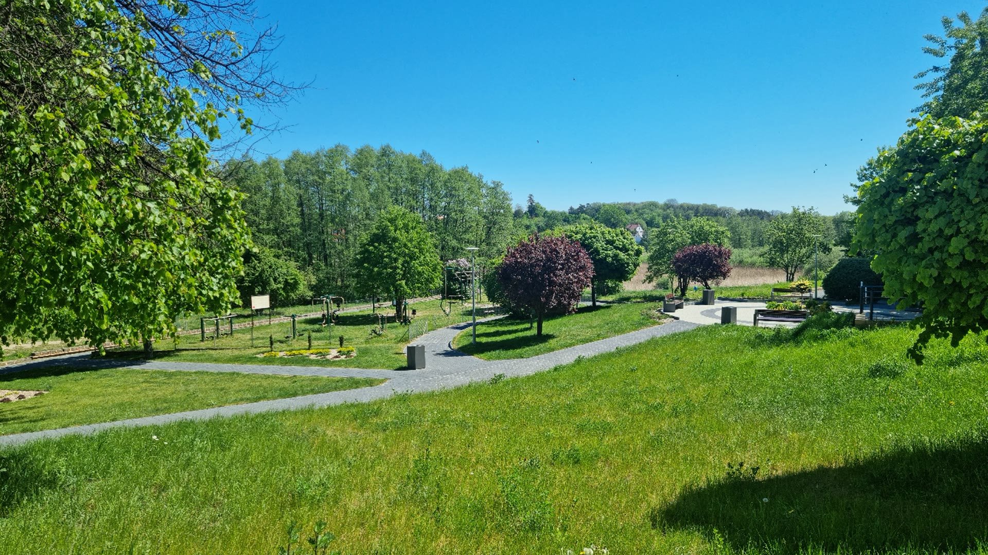 Park z alejkami i ławkami na terenie osiedla, w tle las